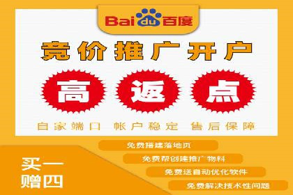 网站sem托管服务提供商的成功案例分析